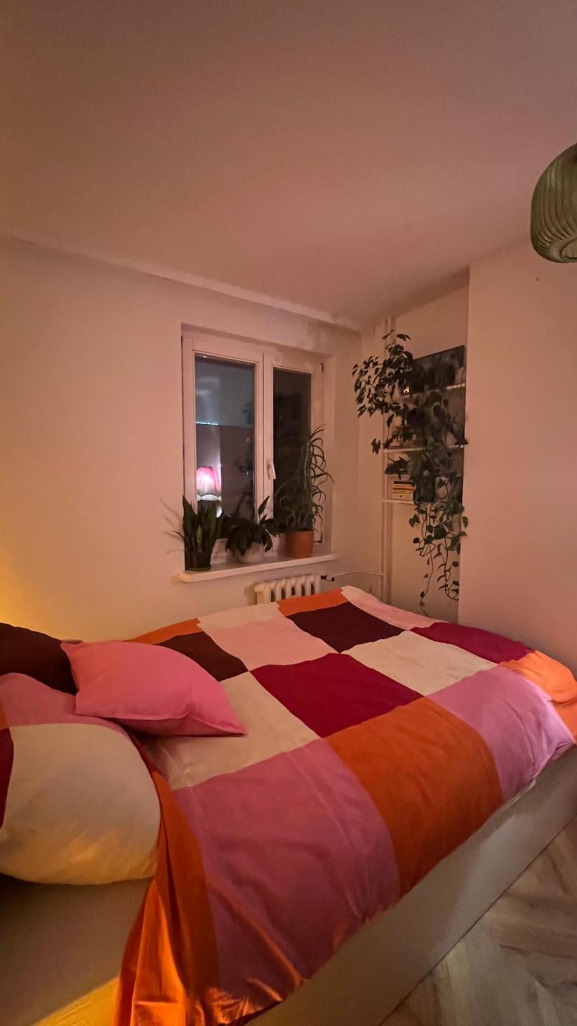 Kato Flat Center * Katovice
